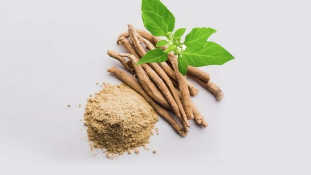 Ashwagandha ( Withania somnifera )